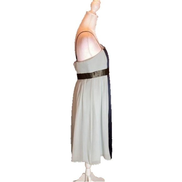 MAXANDCLEO Gorgeous 100% Silk Formal
Strapless Dress Size 8P - Picture 6 of 9